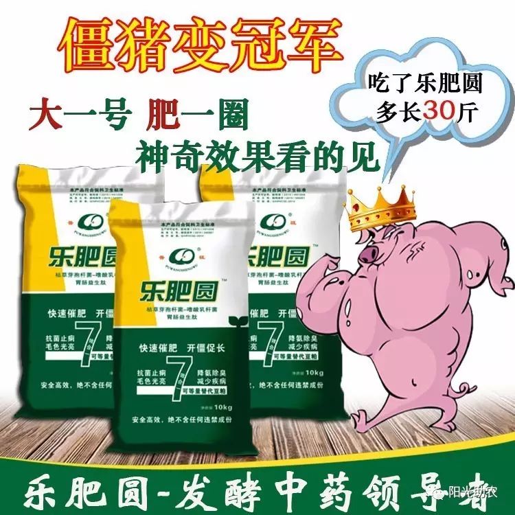 養豬賺大錢，就用樂肥圓!