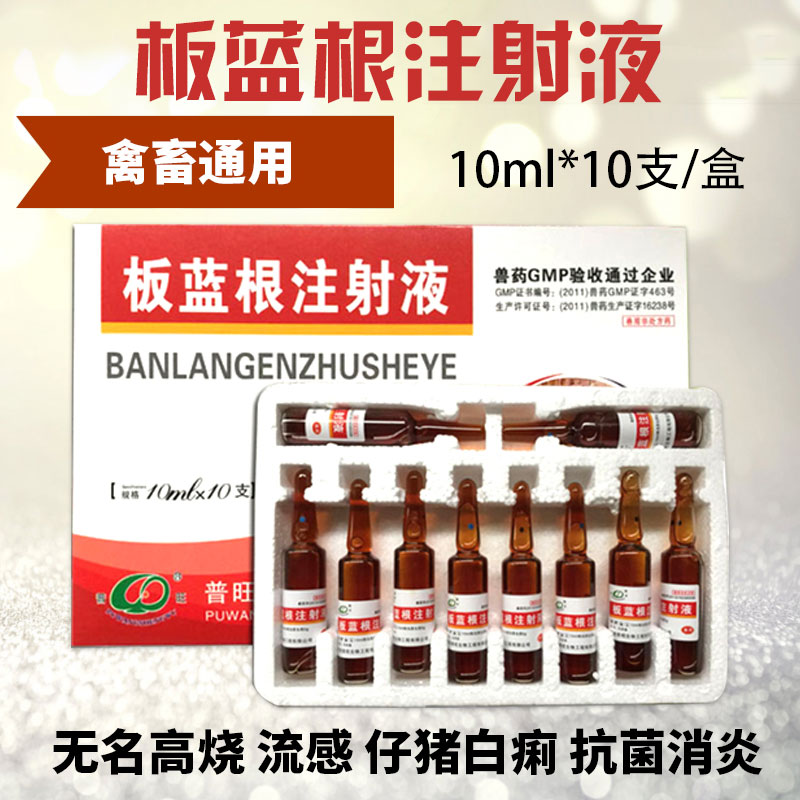 板藍(lán)根注射液